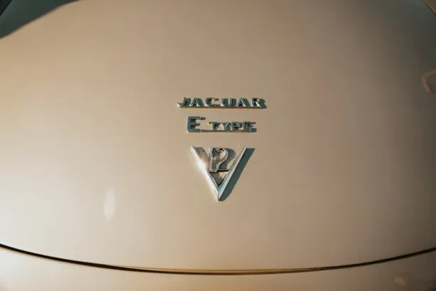 أنتولد كازينو تطبيق أندرويد/آي أو إس